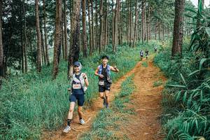 BIB: 
                            <button type="button" onclick="openModal(25656244)" class="btn btn-primary btn-sm float-right btn-popup" data-toggle="modal" data-target=".modal-high-quality">
                        <i class="fas fa-shopping-cart"></i> Add to Cart
                    </button>
                                            <button type="button" onclick="isThisMe(25656244, true)" class="btn btn-success btn-sm float-right btn-popup btn-isme hidden" data-toggle="tooltip" data-placement="bottom" title="นี่คือรูปของคุณใช่ไหม คลิกที่นี่เพื่อเอาเข้าอัลบั้ม">
                        <i class="fas fa-plus"></i> Add to album
                    </button>
                    <button type="button" onclick="isThisMe(25656244, false)" class="btn btn-warning btn-sm float-right btn-popup btn-isnotme hidden">
                        <i class="fas fa-ban"></i> Remove from album
                    </button>